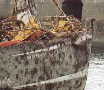 Solway Harvester 1