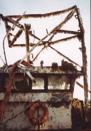 Solway Harvester 5